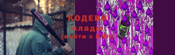гашик Верея