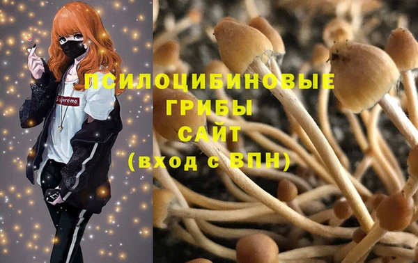 гашик Верея