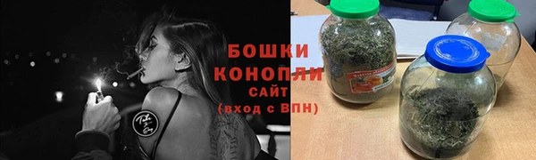 гашик Верея