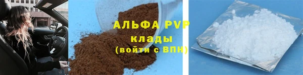 ПСИЛОЦИБИНОВЫЕ ГРИБЫ Верхний Тагил