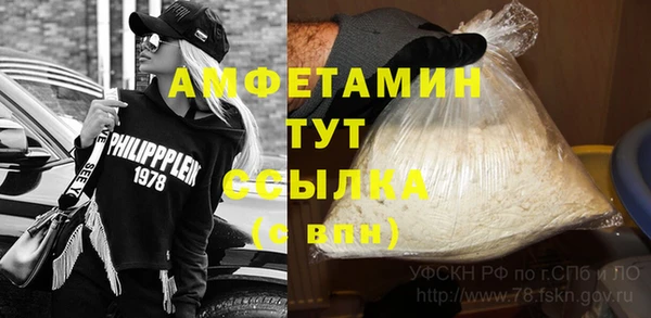 гашик Верея