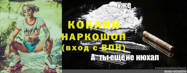 ПСИЛОЦИБИНОВЫЕ ГРИБЫ Верхний Тагил