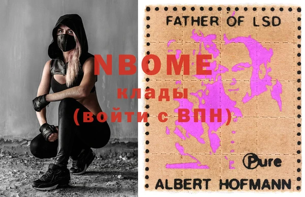 гашик Верея
