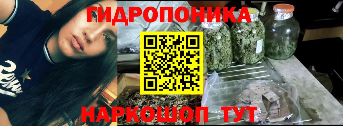 Бошки Шишки THC 21%  Вход с VPN  Северобайкальск  Марихуана MAZAR  Марихуана индика 